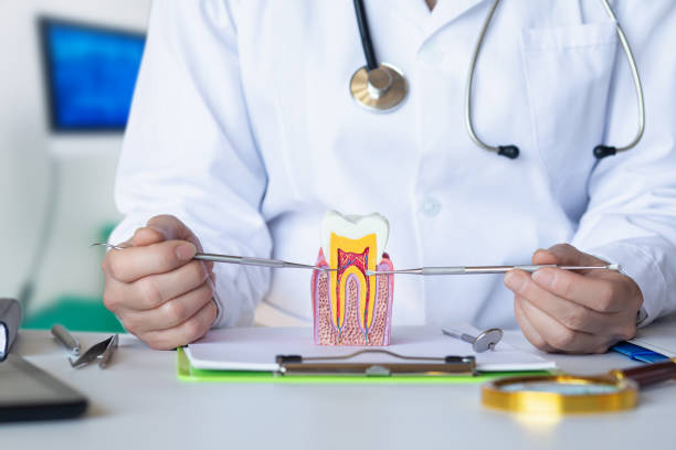 Best Mobile Emergency Dentist in Chase City, VA